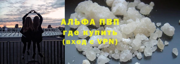 крисы Магас