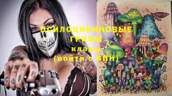 амф Магадан
