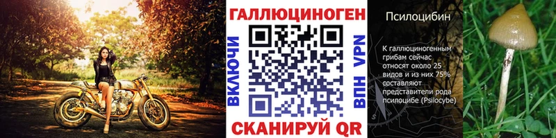 Галлюциногенные грибы Psilocybe  наркота  blacksprut ONION  Малаховка 