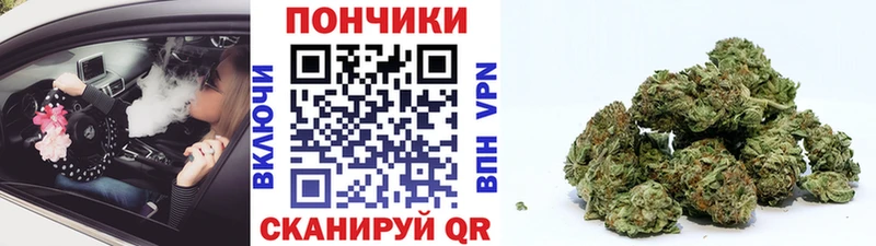 Бошки марихуана MAZAR  Малаховка 